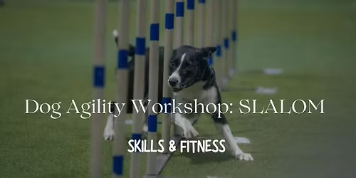 SLALOM WORKSHOP: Skills & Obstacle specific fitness