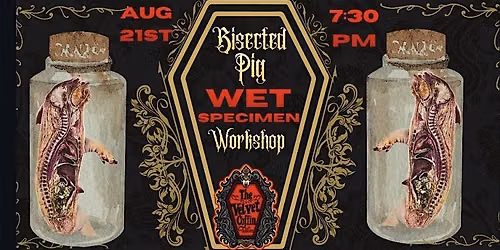 Bisected Pig Wet Specimen Workshop