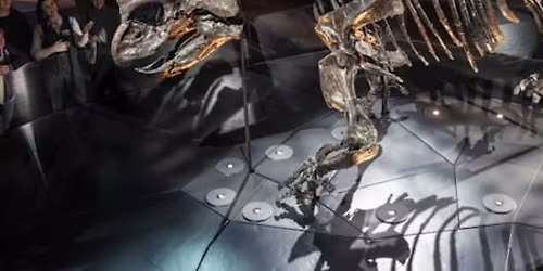 Melbourne Museum: Home of Dinosaurs Guided Tour