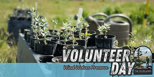 Volunteer Day: Backcountry Planting-  Wind Wolves Preserve