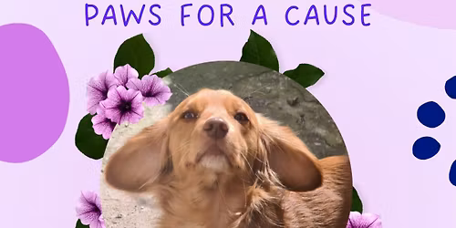 Odin's Outings: Paws for a Cause
