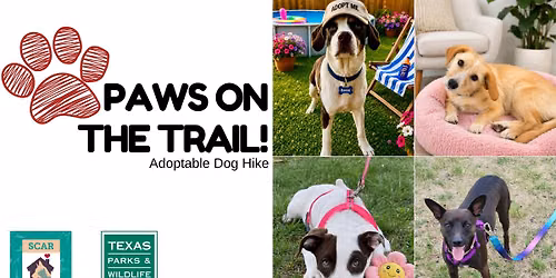 Paws on the Trail! - Adoptable Dog Hike