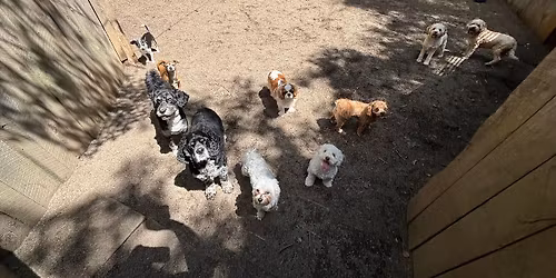 4 Year Anniversary and Client Appreciation Event