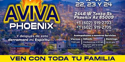 Aviva Phoenix