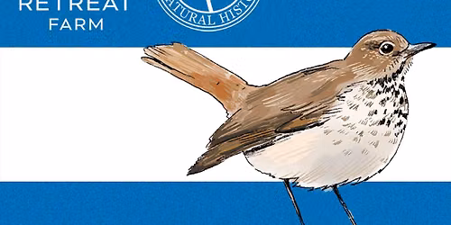 Wild Wisdom: Sketching Vermont Wildlife