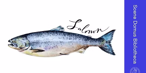 Laksen lider - hvorfor lar vi det bare fortsette \u00e5 skje?