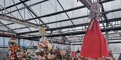 Rochester Main Street TREEVIEW