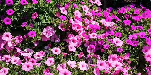 \ud83c\udf3cSpring Open House\ud83c\udf3c