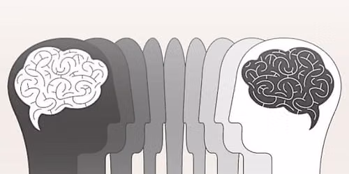 The Science of AuDHD: Understanding how ADHD & Autism intersect