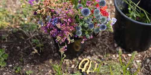 Flower Farmer to Florist - One Day Course