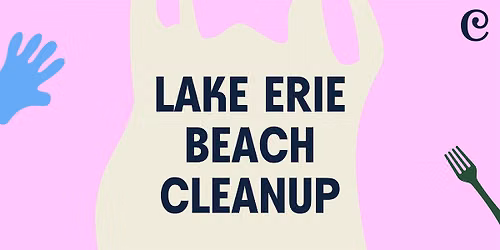 Lake Erie Beach Cleanup