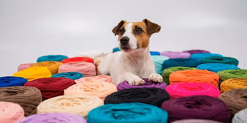 Crochet For Pets Beginner Workshop