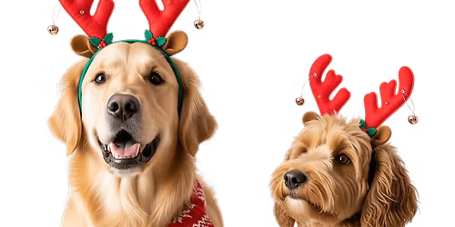 Santa Pet & Family Photos 2025