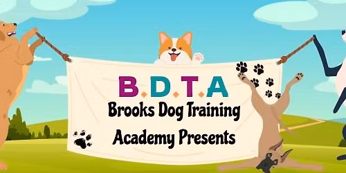 Not Just a Pet: The Roles of Service Dogs, ESAs, & Therapy Dogs