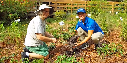 Lettuce Lake Park Garden Workday