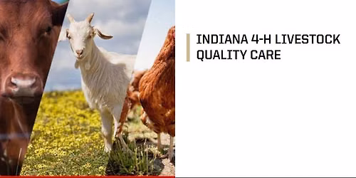 4-H Quality Livestock Care workshop