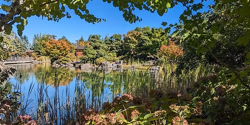 Japanese Healing Garden Summer Tours