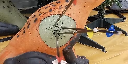 Thursday Night 3D League