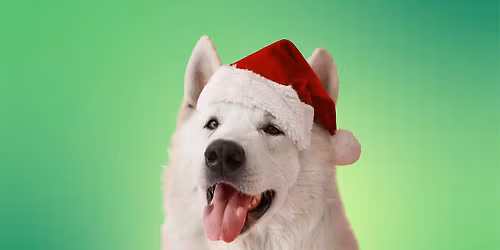 Santa Paws Pup Pix - Saturday