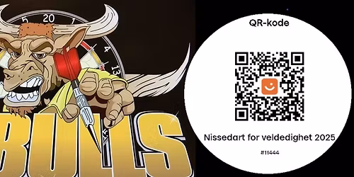 Nissedart med Veldedighets turnering 2025