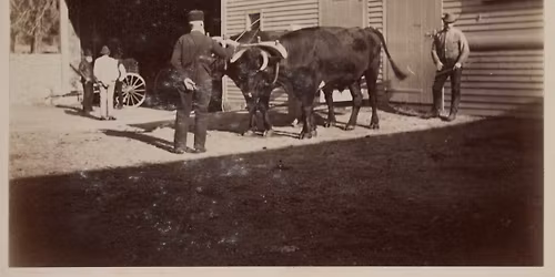 Life of a Laborer, a Working-Class History Tour