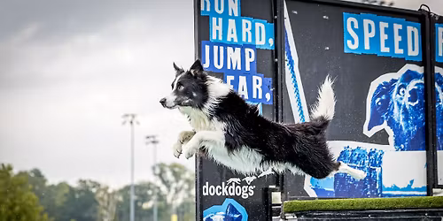 DockDogs\u00aeat Washington's Maple Valley Days
