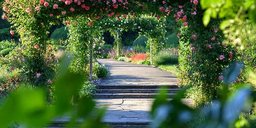 Ab in den Park \u2013 Allgemeine Parkf\u00fchrung 