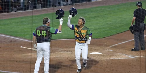 Myrtle Beach Pelicans at Delmarva Shorebirds