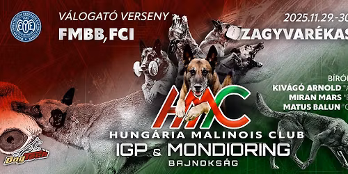 HMC IGP \u00e9s MONDIORING Bajnoks\u00e1g \u00e9s V\u00e1logat\u00f3 verseny