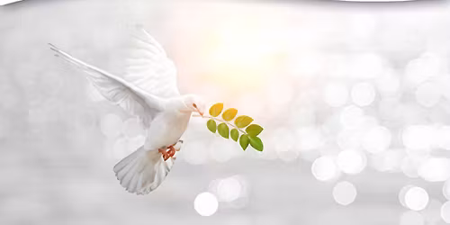 Meditation for World Peace