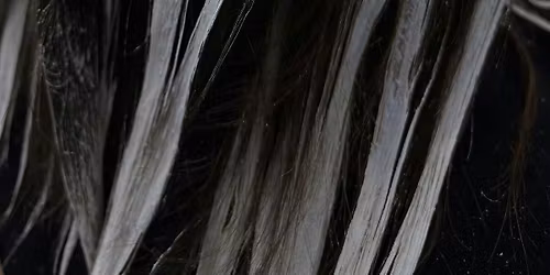 MASTERING THE ART OF BALAYAGE - HANDS ON - GILBERT AZ