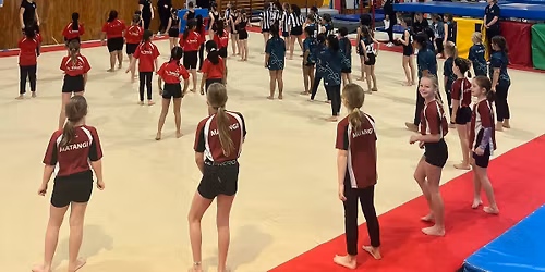 Hamilton City School Gymsports Festival (Years 2-6)