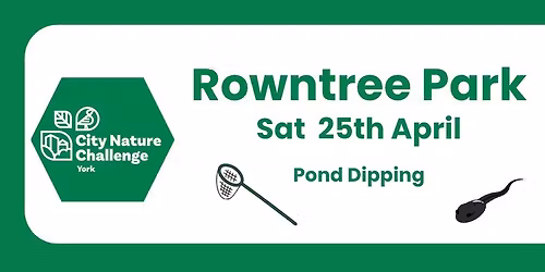 Pond Dipping in Rowntree Park - City Nature Challenge 2026
