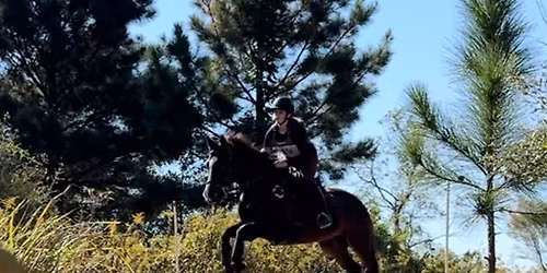 (Please Don\u2019t) Fall Horse Trials 