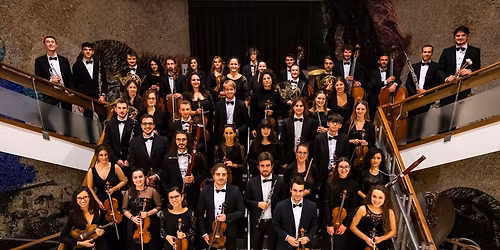 Alice nel paese delle meraviglie \/ Contatto TIG in famiglia