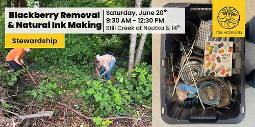Blackberry Removal & Natural Ink Making