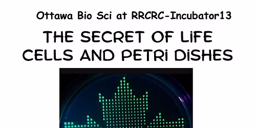 The Secret of life - The Cell  workshops