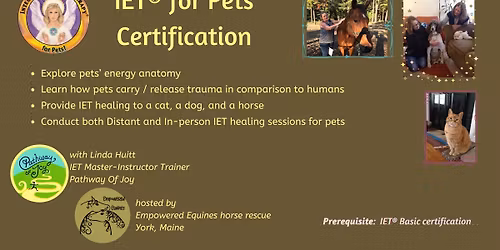 IET for Pets Certification, in York Maine