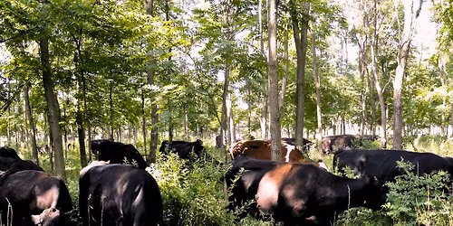 2026 Temperate Silvopasture Symposium