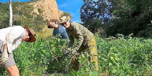 Castle Hill Landcare - Community Working Bee