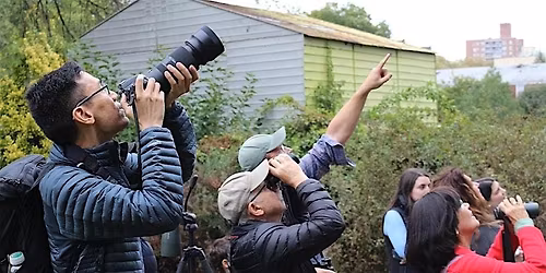 Fall Bird Walks with NYC Bird Alliance