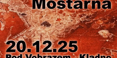 V\u00c1NO\u010cN\u00cdK 25