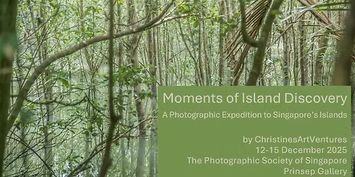 Moments of Island Discovery