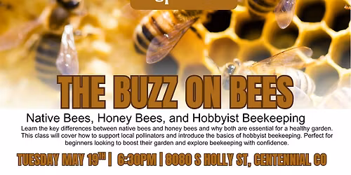 FREE Bee Talk: Native Bees, Honey Bees, and Beekeeping Basics