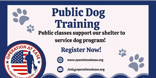 Therapy Dog Training Class
