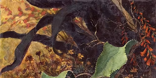 Artist Talk with Carolyn Schmitz