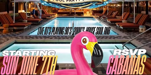 D'or Society Summer Pool Series