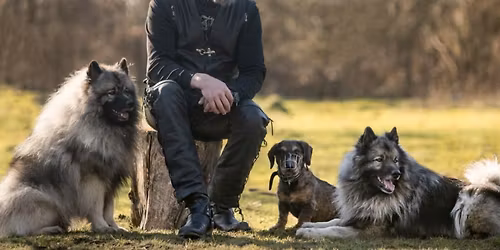 Workshop K\u00f6rpersprache Hund\/Hund & Mensch\/Hund mit K\u00fcstenk\u00f6ter