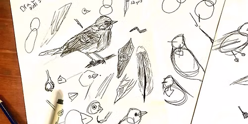 Nature Journaling for Kids - Birds!