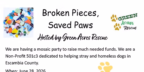 Broken Pieces, Saved Paws 